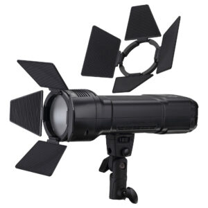 Set Snoot Difusor Panal Domo Barndoor P/ Flash Visico 2